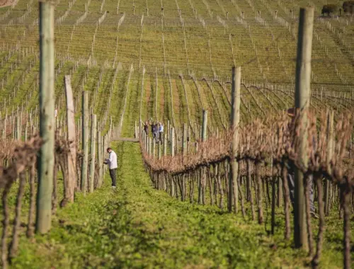 Madpakke-magi: 30 nemme idéer børnene faktisk spiser